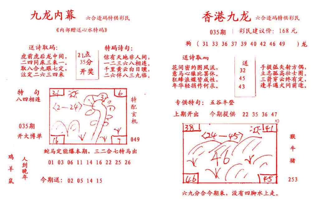 035期九龙内幕[图]